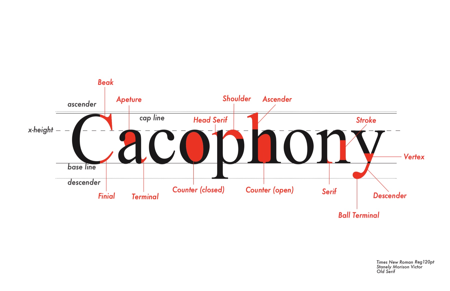 Provoking Type Anatomy